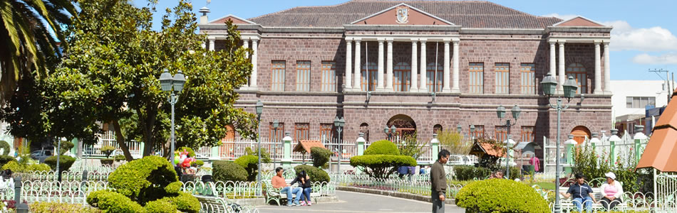 photo_three